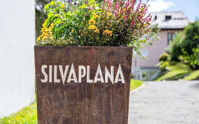 Silvaplana-Surlej 30