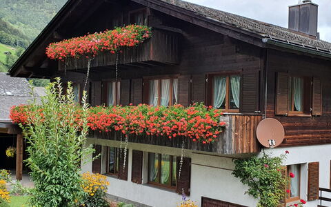 Untertal: Fiore, Pianta, Costruzione, Finestra, Proprietà, Cielo, Foglia, Casa, Arancia, Architettura