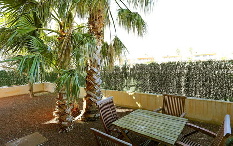 Peiro: Proprietà, Albero, Palma, Arecales, Pianta, Immobiliare, Mobilia, Woody Impianto, Camera, Casa