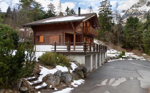 Escapade: Albero, Legna, Casa, Casa, Villetta, Larice, Pendenza, Log Cabin, Congelamento, Neve
