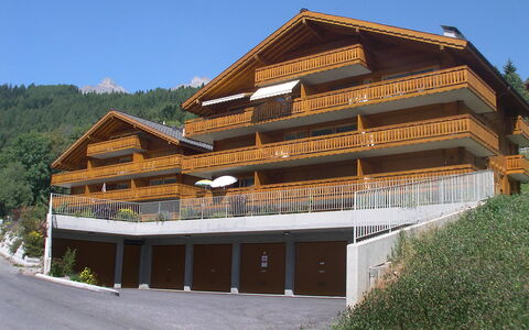 Ovronnaz 700: Cielo, Pianta, Costruzione, Legna, Albero, Pendenza, Immobiliare, Facciata, Tempo Libero, Paesaggio
