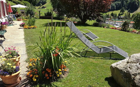 Grindelwald 255: Pianta, Fiore, Comunita 'Impianto, Albero, Botanica, Foglia, Vaso Di Fiori, Erba, Mobili Da Esterno, Biome