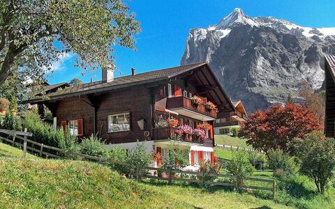 Grindelwald 255: Pianta, Cielo, Costruzione, Montagna, Paesaggio Naturale, Albero, Highland, Lotto, Casa, Finestra