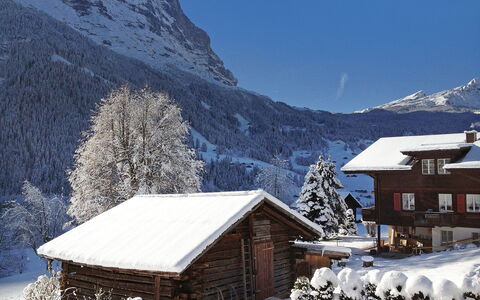 Grindelwald 255: Cielo, Neve, Montagna, Proprietà, Costruzione, Natura, Pendenza, Albero, Casa, Finestra