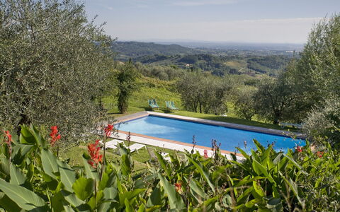 La Loggia 13: Proprietà, Piscina, Casa, Immobiliare, Erba, Albero, Villa, Area Rurale, Costruzione, Paesaggio