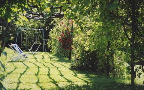 La Cenerara: Verde, Natura, Albero, Erba, Giardino, Prato, Luce Del Sole, Foglia, Botanica, Primavera