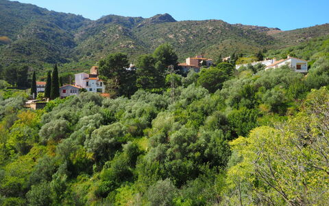La Rectoria Ii: Cielo, Montagna, Pianta, Comunita 'Impianto, Paesaggio Naturale, Albero, Lotto, Highland, Paesaggio, Groundcover