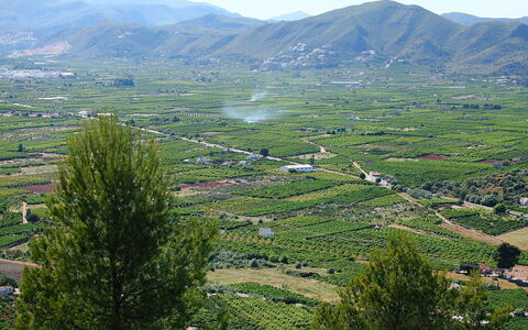 Grand Lusianna: Geografia Montane, Highland, Montagna, Hill Station, Vegetazione, Natura Selvaggia, Collina, Catena Montuosa, Riserva Naturale, Albero