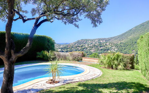 Le Cap: Pianta, Cielo, Acqua, Proprietà, Comunita 'Impianto, Paesaggio Naturale, Albero, Azzurro, Vegetazione, Shade