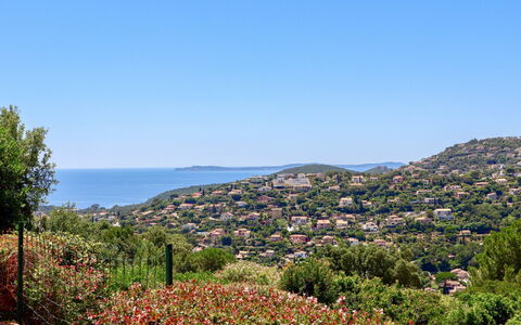 Le Cap: Fiore, Cielo, Pianta, Paesaggio Naturale, Albero, Vegetazione, Montagna, Acqua, Paesaggio, Orizzonte