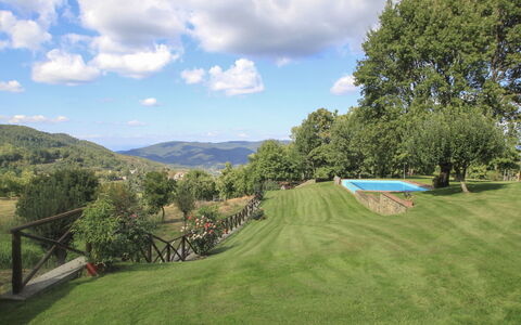 Greve in Chianti 840: Nube, Cielo, Pianta, Montagna, Paesaggio Naturale, Albero, Lotto, Erba, Paesaggio, Pascolo