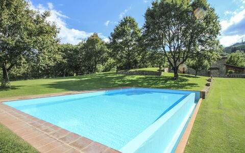 Greve in Chianti 840: Acqua, Pianta, Nube, Cielo, Piscina, Verde, Albero, Shade, Rettangolo, Lotto