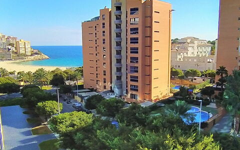 Sidney: Cielo, Costruzione, Acqua, Pianta, Proprietà, Azzurro, Finestra, Vegetazione, Urban Design, Albero