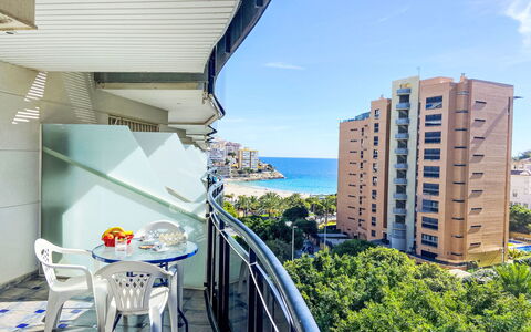 Sidney: Appartamento, Condominio, Balcone, Shade, Hotel, Attico, Ricorrere
