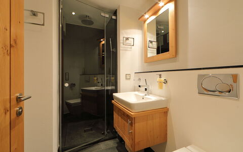 Zermatt 470: Bagno, Camera, Proprietà, Mobiletto Del Bagno, Idraulico Fixture, Lavello, Interior Design, Bagno Accessorio, Mobilia, Illuminazione