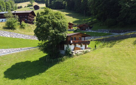Hamberg Hütte: Pianta, Proprietà, Costruzione, Paesaggio Naturale, Albero, Casa, Lotto, Vegetazione, Pendenza, Biome