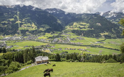 Hamberg Hütte