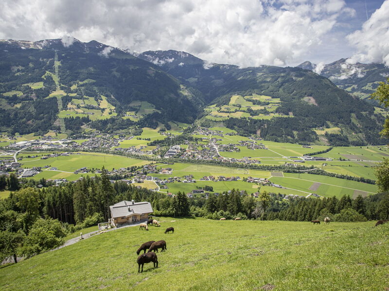 Hamberg Hütte