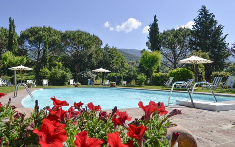 San Pietro: Piscina, Ricorrere, Proprietà, Tempo Libero, Vacanza, Botanica, Immobiliare, Paesaggio, Turismo, Giardino Botanico