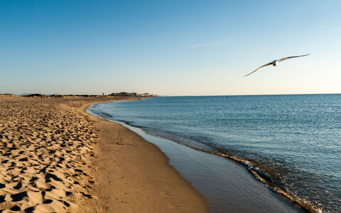 Canet-Plage 310: Cielo, Blu, Acqua, Ambiente Naturale, Spiaggia, Orizzonte, Costa, Ecoregione, Riva