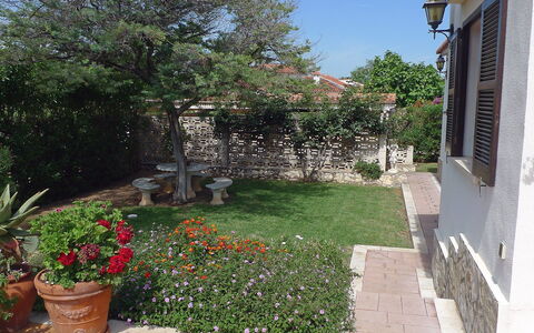 El Paradiso: Proprietà, Cortile, Giardino, Casa, Immobiliare, Backyard, Casa, Zona Residenziale, Costruzione, Paesaggio