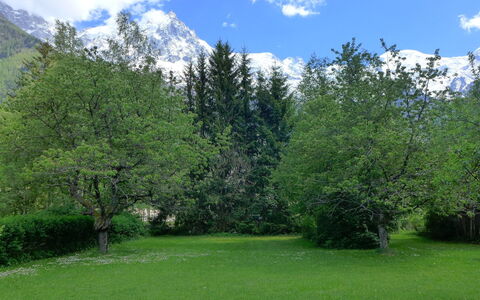 Maison Novel: Nube, Cielo, Pianta, Ecoregione, Verde, Montagna, Paesaggio Naturale, Larice, Albero, Erba