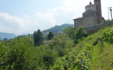 Al Ronchetto: Vegetazione, Castello, Hill Station, Collina, Albero, Highland, Montagna, Turismo, Costruzione