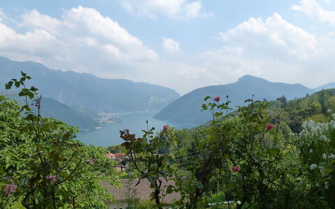 Al Ronchetto: Hill Station, Vegetazione, Natura, Geografia Montane, Highland, Collina, Montagna, Cielo, Paesaggio Naturale, Natura Selvaggia