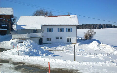 Martin: Cielo, Neve, Costruzione, Finestra, Casa, Pendenza, Albero, Congelamento, Paesaggio, Street Luce