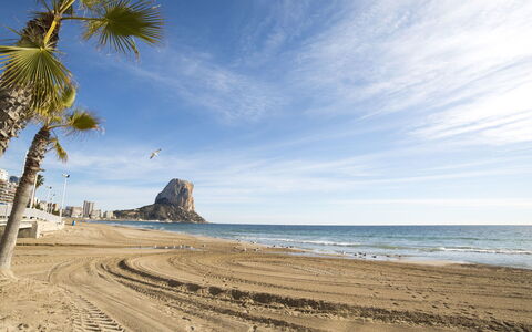 Arenal 03: Spiaggia, Cielo, Mare, Riva, Albero, Costa, Palma, Oceano, Sabbia, Costiera E Morfologie Oceanic
