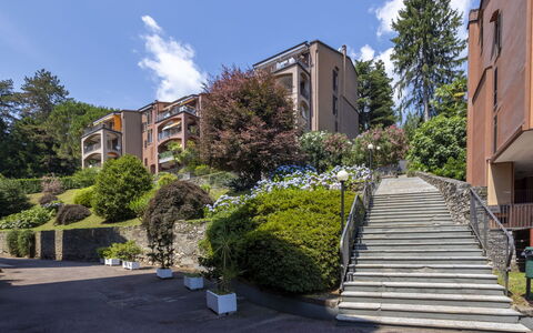 Residenza del Pascià: Albero, Zona Residenziale, Arbusto, Appartamento, Condominio, Sobborgo, Estate, Landscaping, Driveway