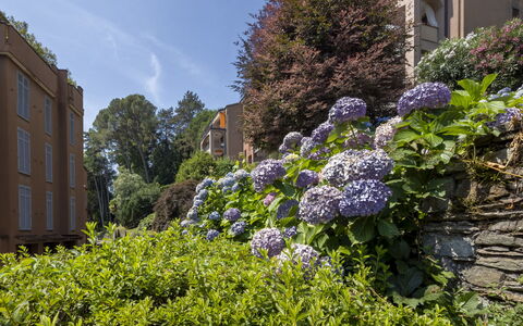 Residenza del Pascià: Verde, Foglia, Vegetazione, Arbusto, Comunita 'Impianto, Giardino, Groundcover, Primavera, Landscaping, Condominio