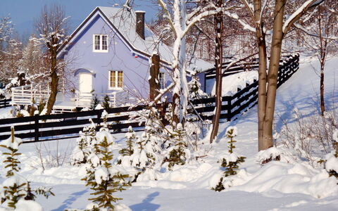 Niebieski: Costruzione, Neve, Pianta, Finestra, Cielo, Ramoscello, Casa, Ramo, Paesaggio Naturale, Architettura