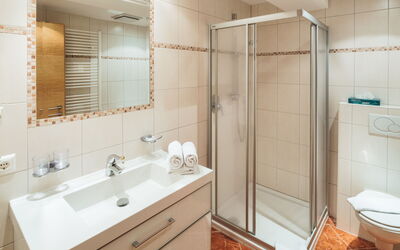 Alloggio:&nbsp;Ladis 600.5