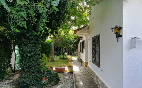 Vilafortuny: Proprietà, Costruzione, Casa, Immobiliare, Quartiere, Albero, Cortile, Strada, Architettura, Hacienda