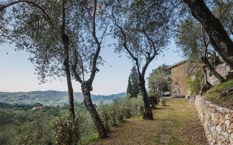 La Capannella: Cielo, Tavolo, Mobilia, Giorno, Proprietà, Pianta, Montagna, Azzurro, Sedia, Natura