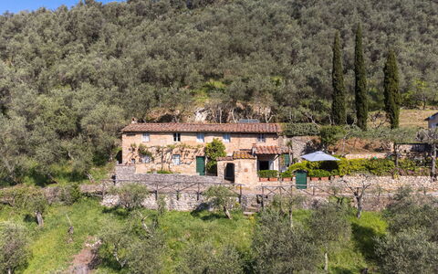 Il Metatino: Pianta, Cielo, Montagna, Paesaggio Naturale, Albero, Costruzione, Lotto, Vegetazione, Nube, Finestra