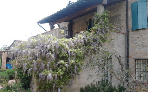 Alloggio:&nbsp;Appartamento Piscina