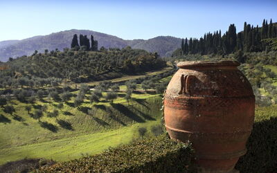 Vista panoramica