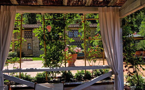 Villa Petrognano: Proprietà, Pergola, Botanica, Casa, Albero, Costruzione, Architettura, Pianta, Giardino, Casa