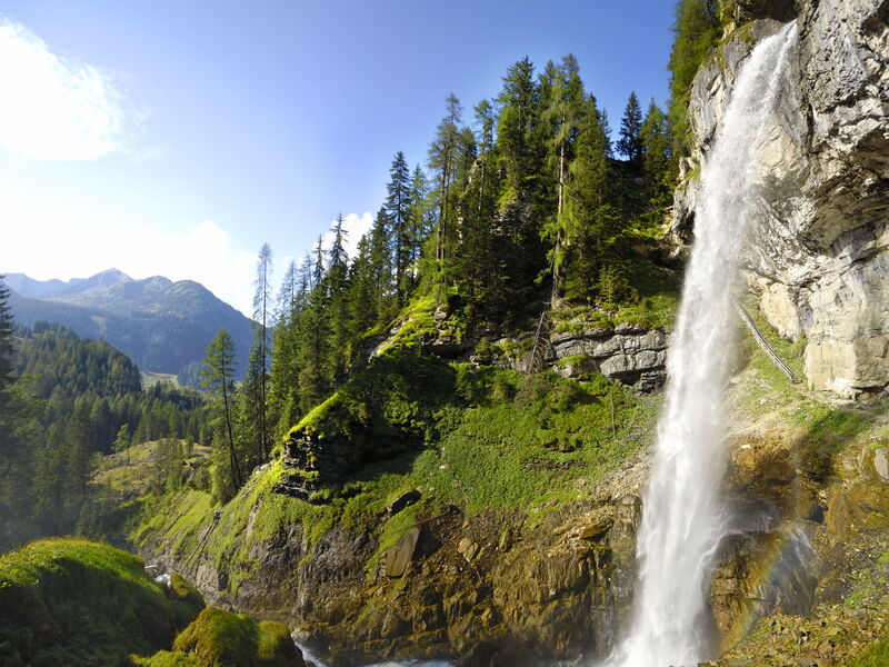 Steindlwald