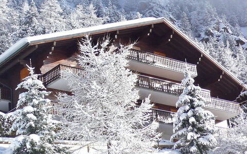 Champex 195: Neve, Costruzione, Proprietà, Pianta, Finestra, Casa, Albero, Montagna, Pendenza, Villetta