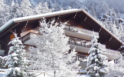 Champex 195: Neve, Costruzione, Proprietà, Pianta, Finestra, Casa, Albero, Montagna, Pendenza, Villetta