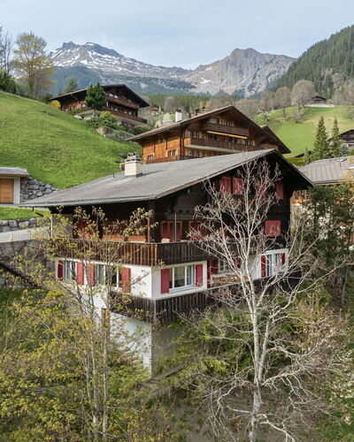Chalet Shangri la