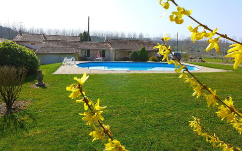 La Grangette: Giallo, Pianta, Erba, Fiore, Primavera, Giardino, Albero, Prato, Paesaggio, Wildflower