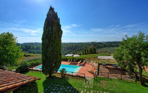 Il Frantoio: Proprietà, Albero, Cielo, Botanica, Giardino, Casa, Erba, Pianta, Area Rurale, Immobiliare