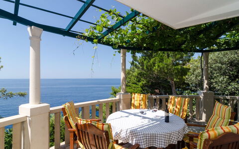 Trstenik Dingač 301: Proprietà, Costruzione, Immobiliare, Camera, Casa, Balcone, Mobilia, Portico, Vacanza, Shade