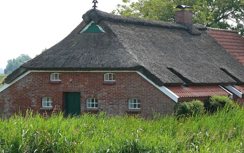 Norddeich 651: Tetto, Villetta, Casa, Proprietà, Thatching, Casa, Agriturismo, Costruzione, Area Rurale, Erba