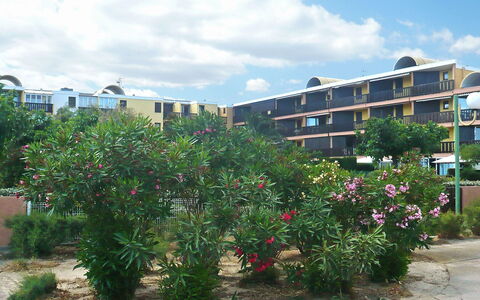 Gruissan Plage: Proprietà, Zona Residenziale, Pianta, Albero, Fiore, Cielo, Quartiere, Zona Urbana, Botanica, Immobiliare