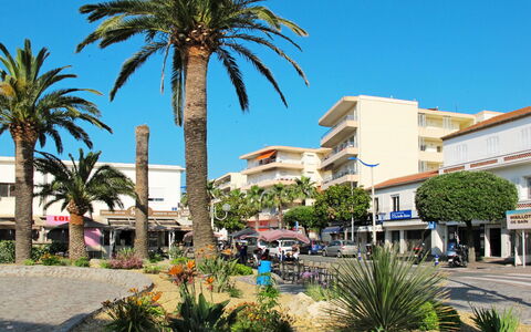 Cavalaire 350: Cielo, Pianta, Costruzione, Giorno, Proprietà, Azzurro, Albero, Vegetazione, Arecales, Architettura